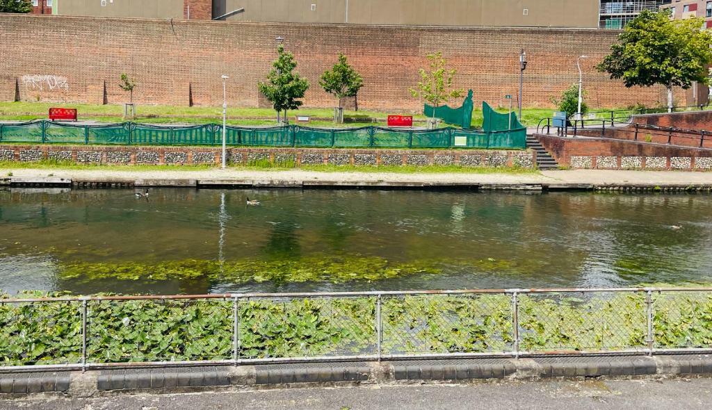 Front (river view).jpg