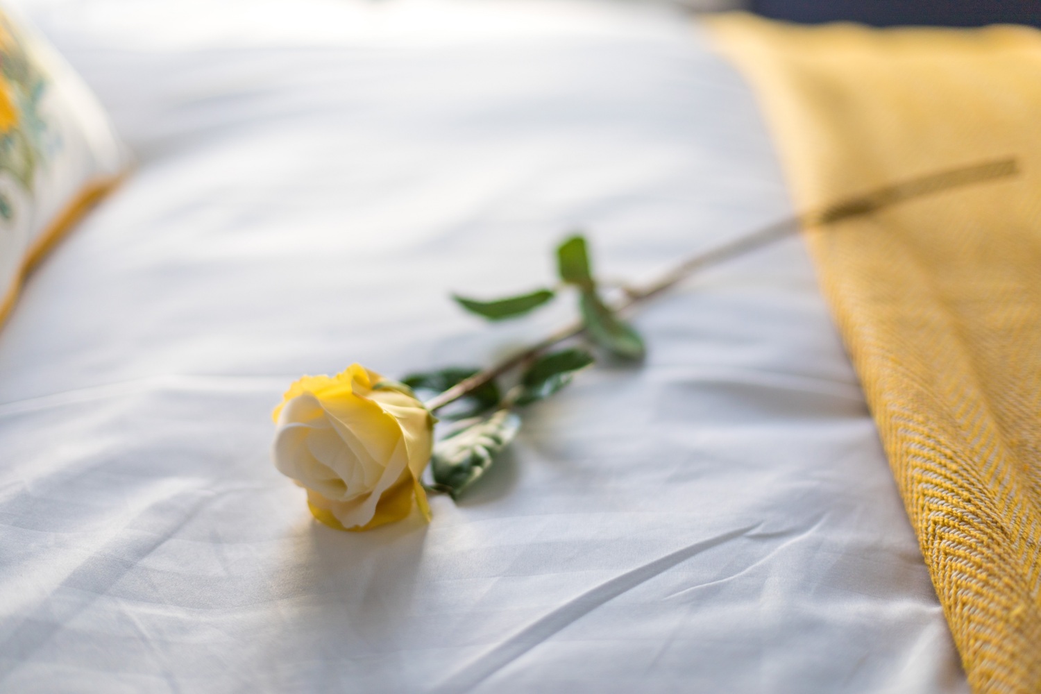 147 Treharris St 079.jpg