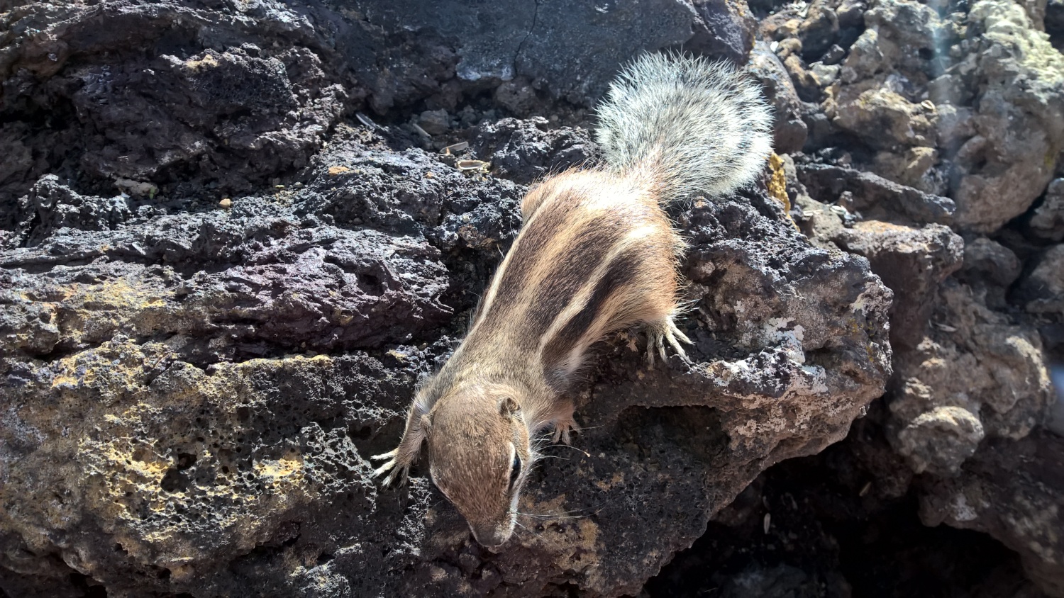 WP_20151027_13_10_49_Pro__highres - Kopie.jpg