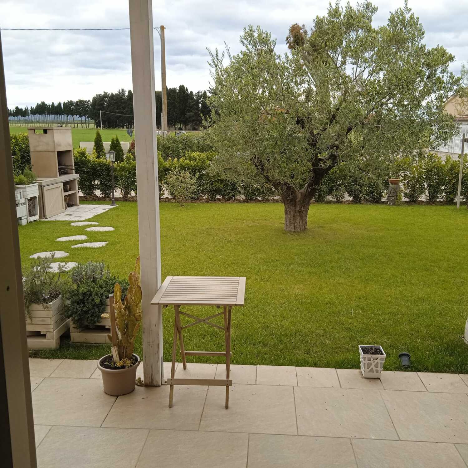 WhatsApp Image 2023-05-16 at 13.28.38.jpeg