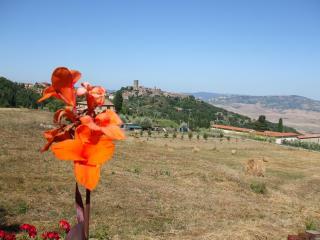 file 320x240_000938.jpg