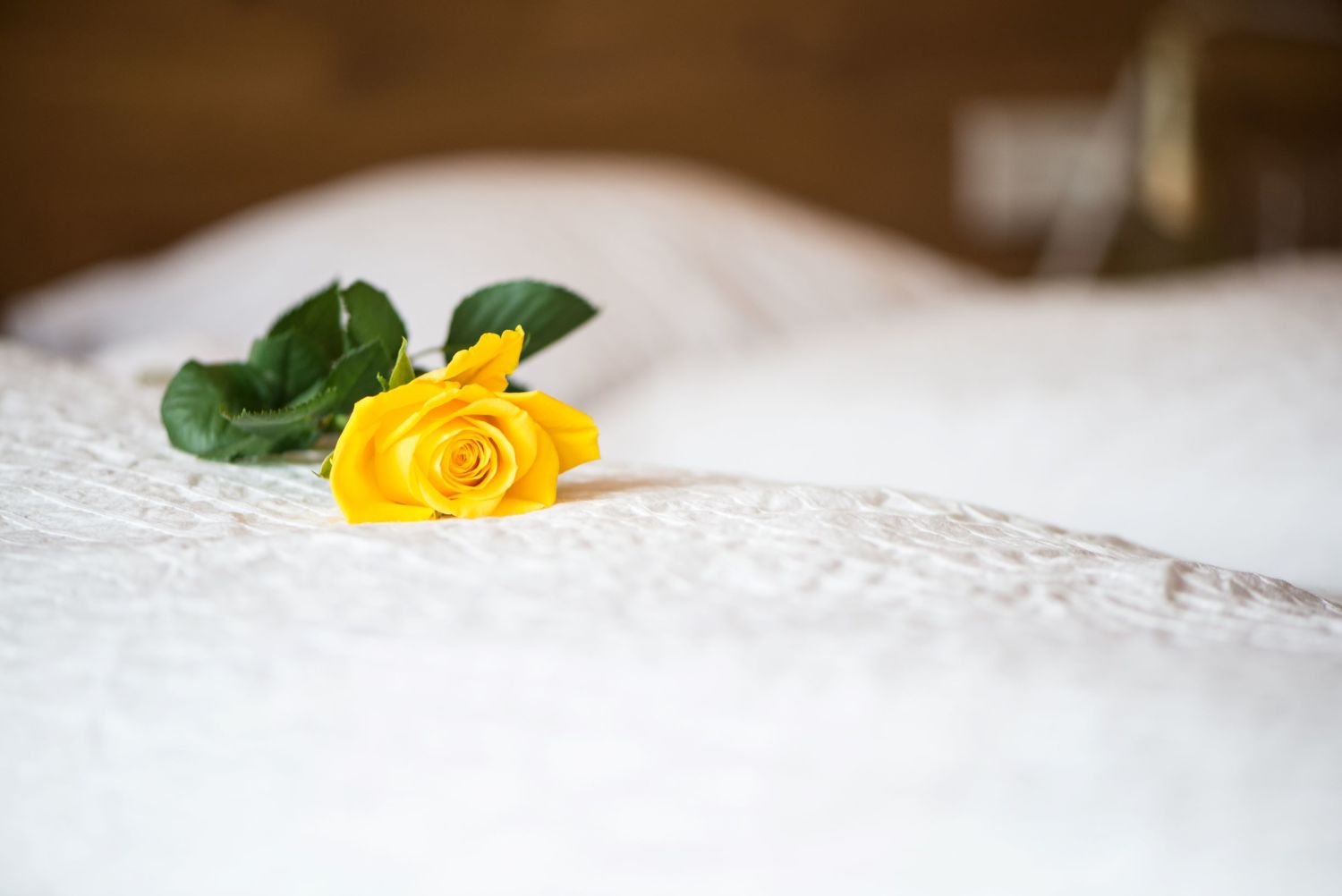 Ferienbungalow Mountain View Wood Region Spital am Pyhrn Windischgarsten.jpg