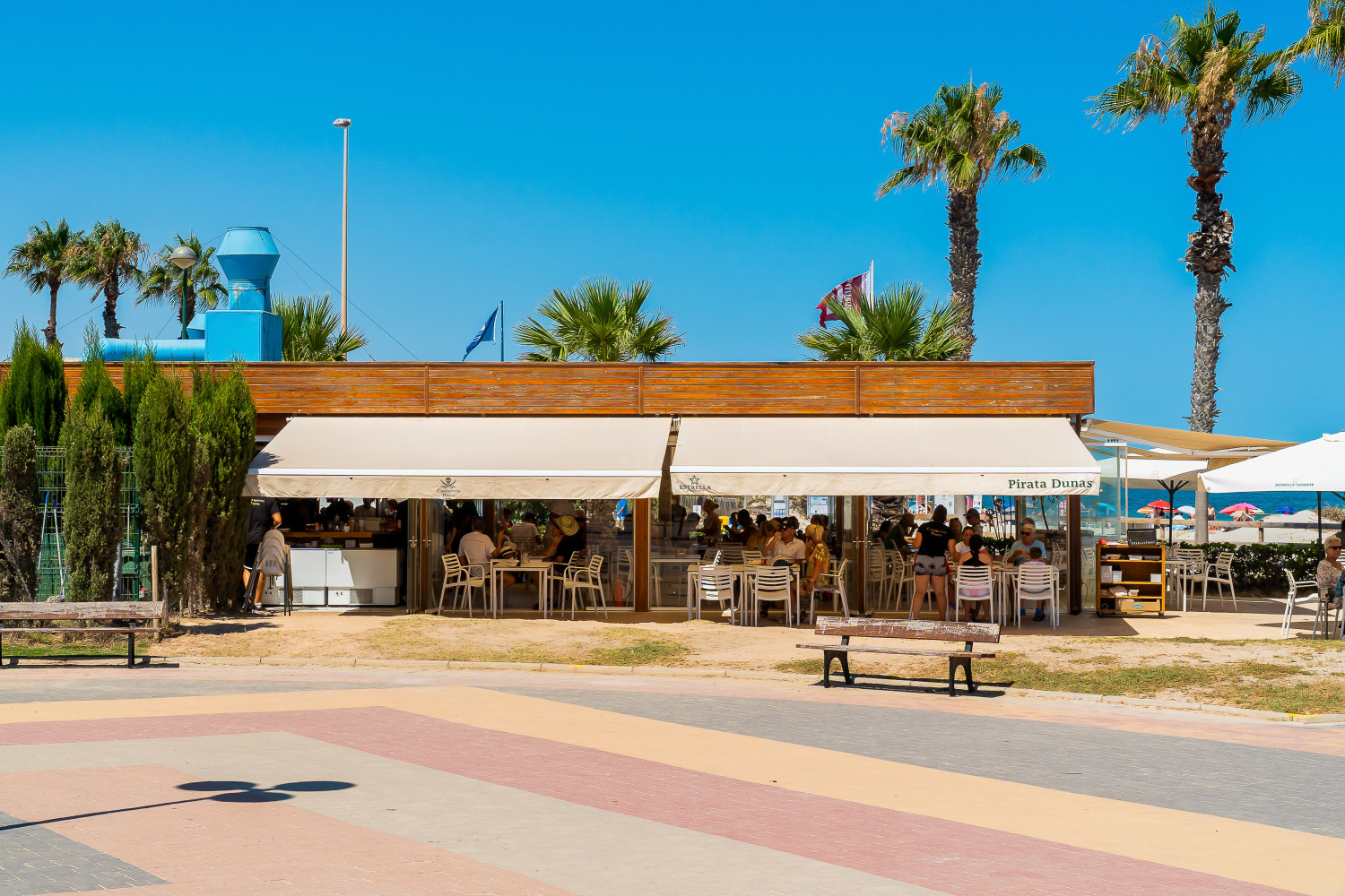 Gladiolo 52 - Pilar de Horadada (53).jpg