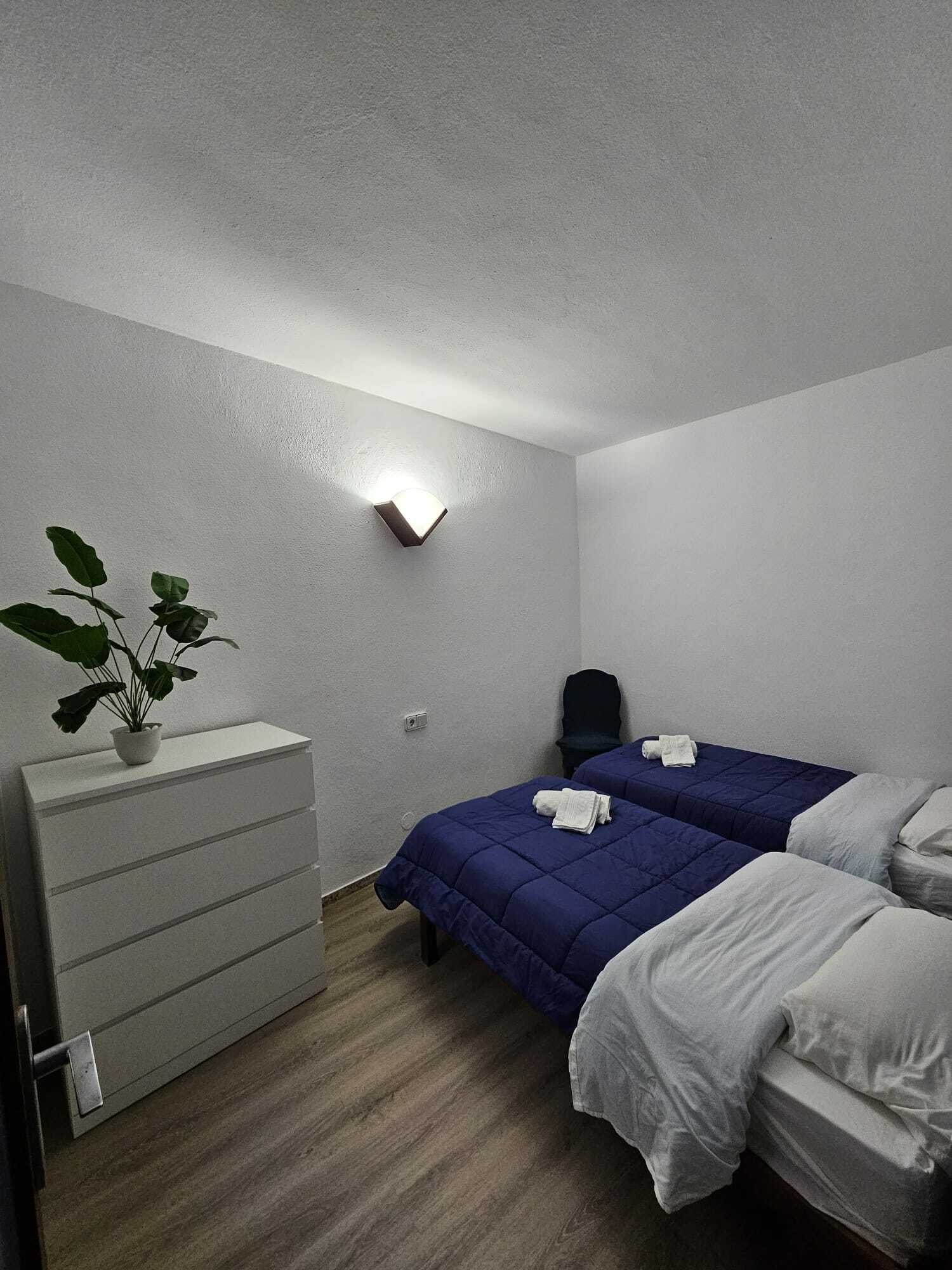 WhatsApp Image 2024-02-26 at 14.57.08.jpeg