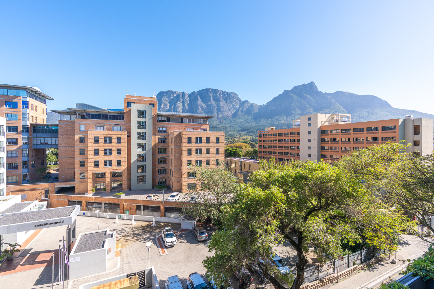 528 Newlands Peak-15.jpg