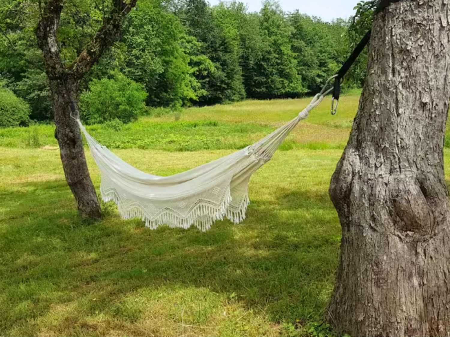 _Vorlage Deutsch für Booking und Airbnb 2000x1500 (6).png