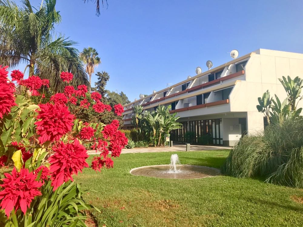 WhatsApp Image 2019-05-17 at 17.11.57.jpeg