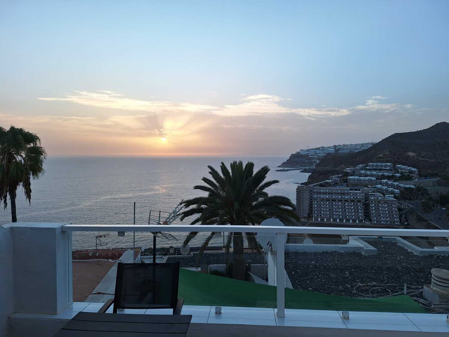 Afbeelding van WhatsApp op 2023-08-23 om 21.17.09.jpg