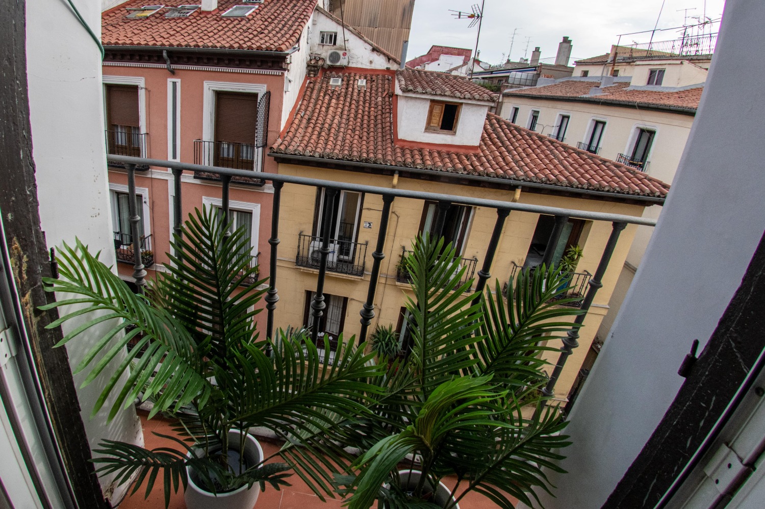 2023 09 05__AAR4736-min.jpg