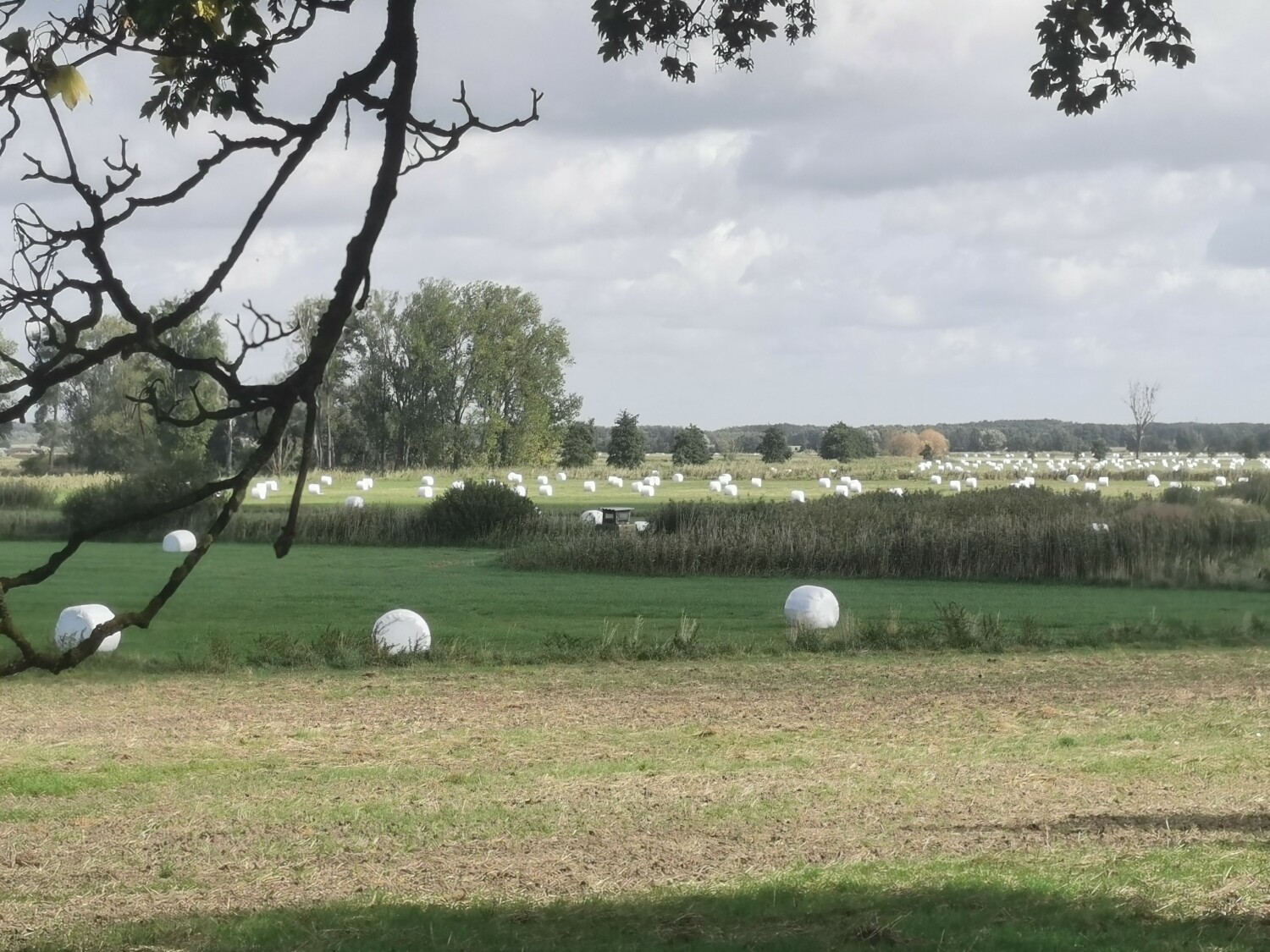 IMG_20230930_121705 (002).jpg