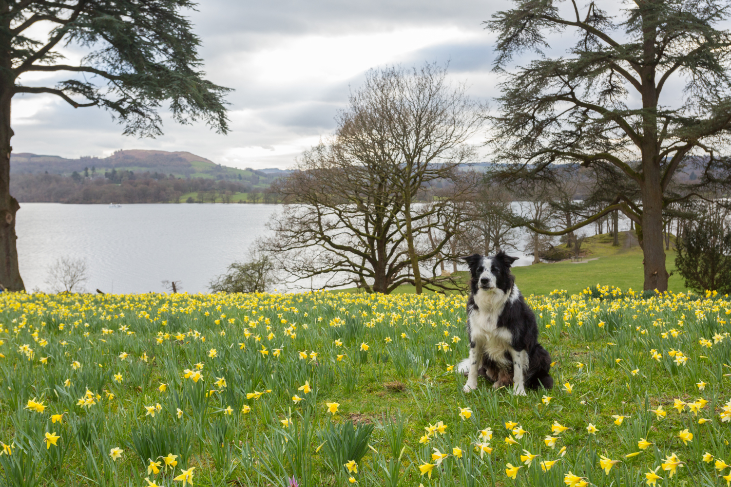 3 Wansfell Holme - 34.jpg