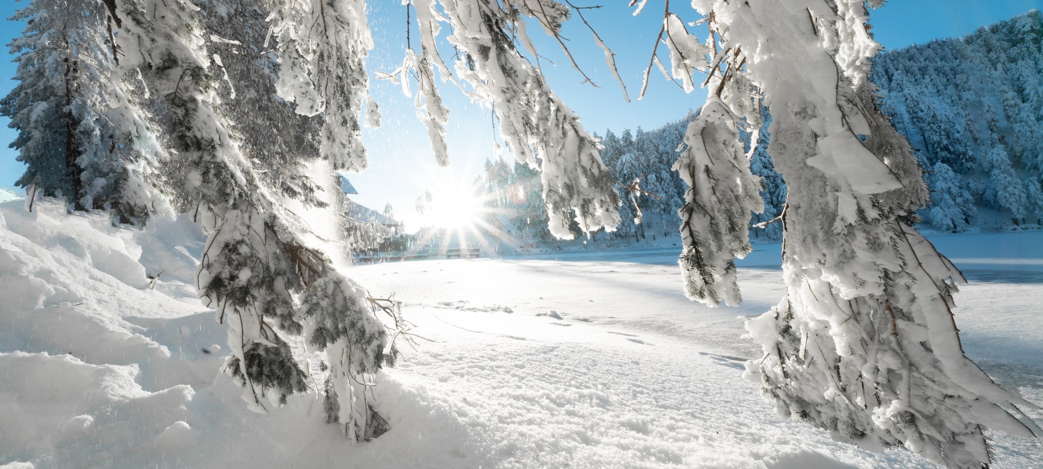 58 shutterstock_1893107461.jpg