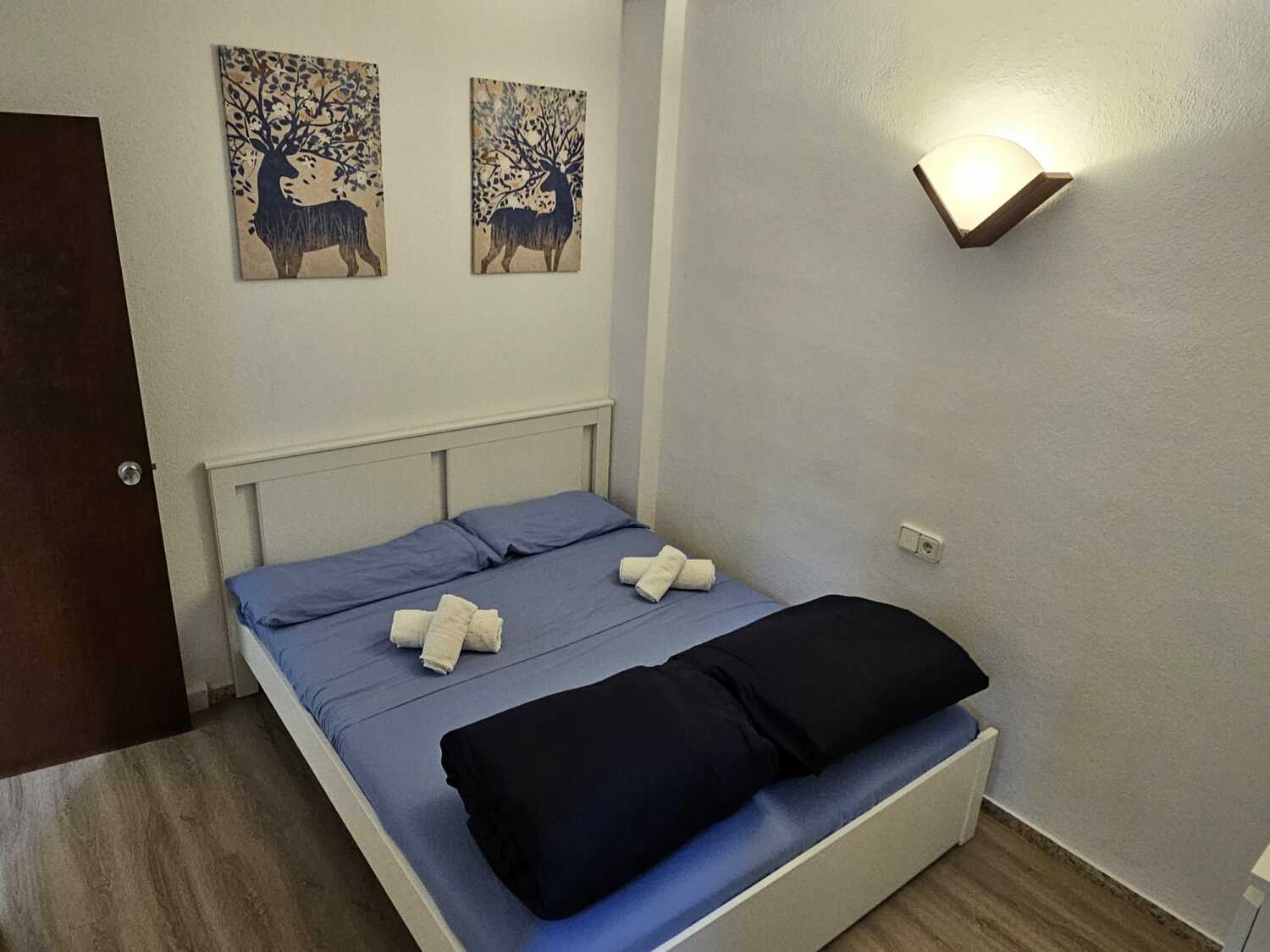 WhatsApp Image 2024-02-26 at 14.57.08 (1).jpeg