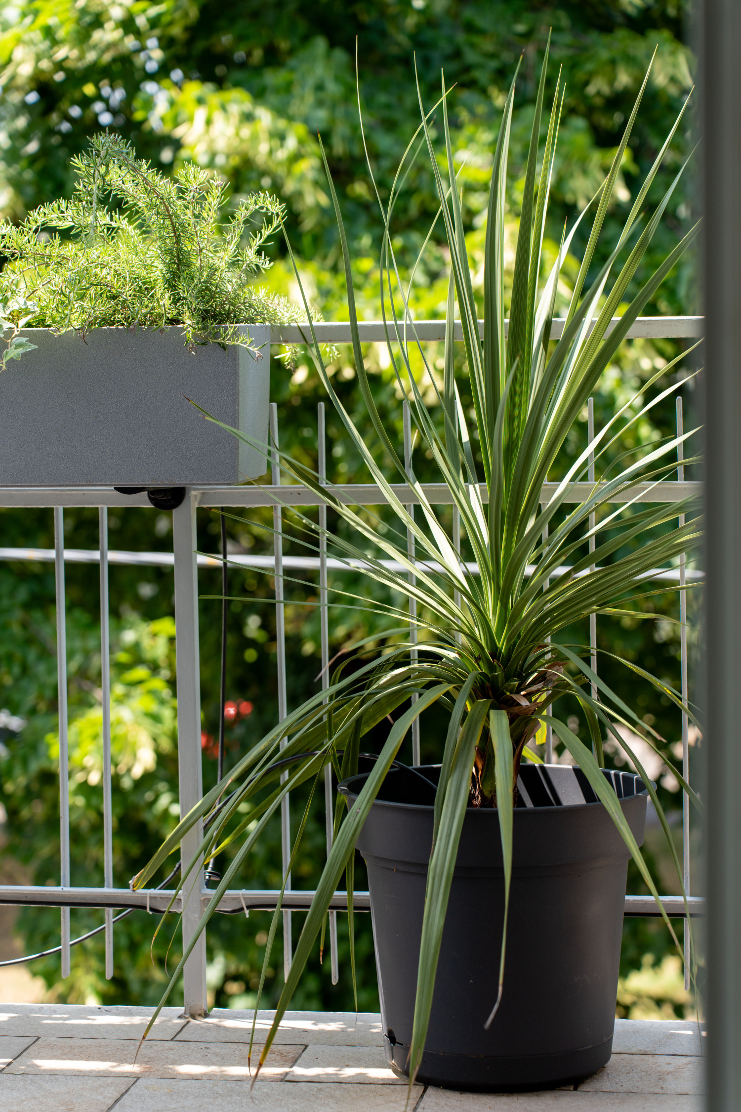 230-Appartamenti-Padova-Officine Cavour-particolari.jpg