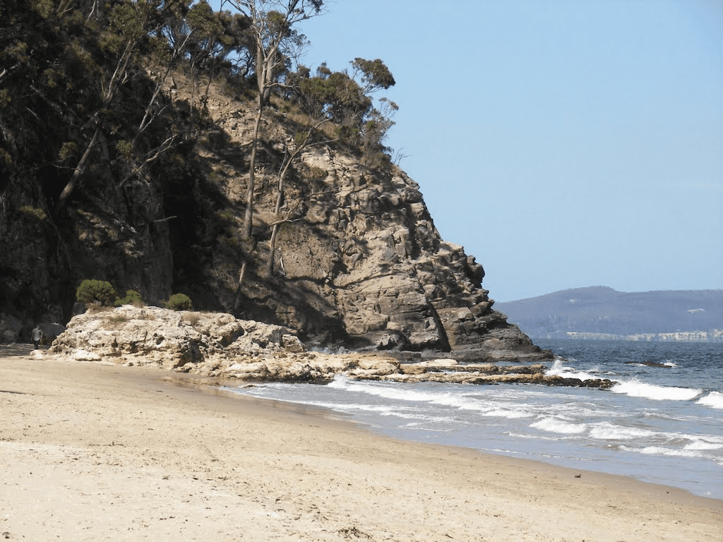 MicrosoftTeams-image (14).png