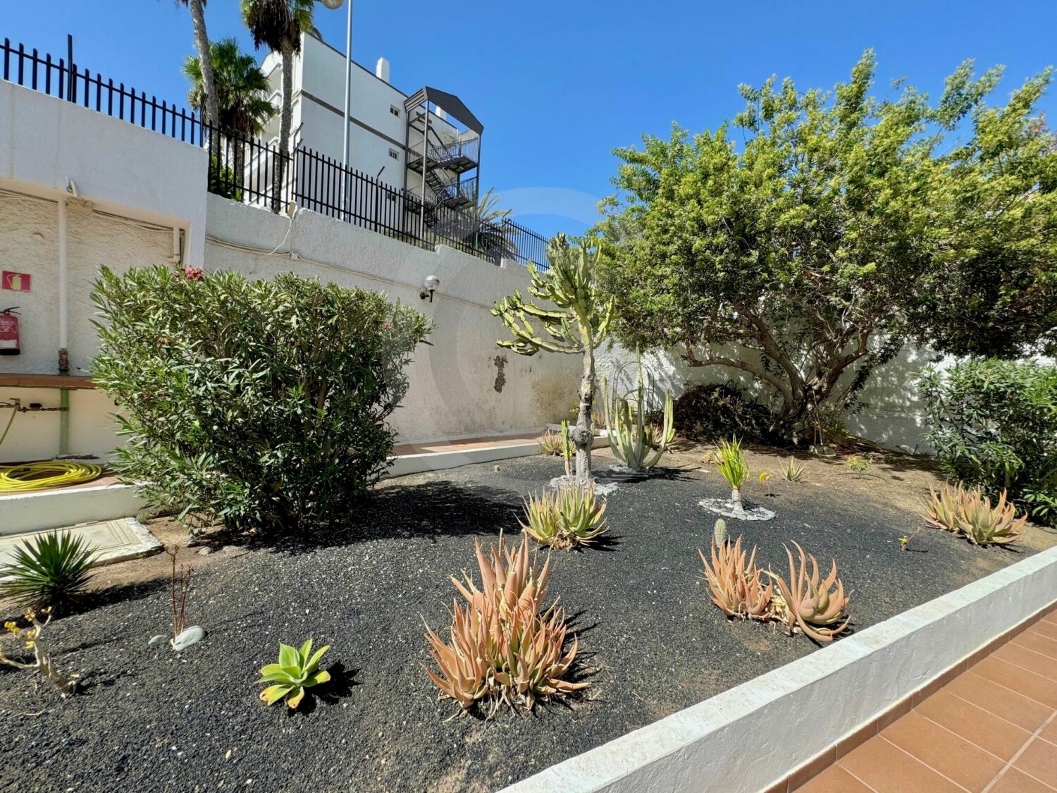 WhatsApp Image 2025-07-28 at 19.01.25 (2).jpeg