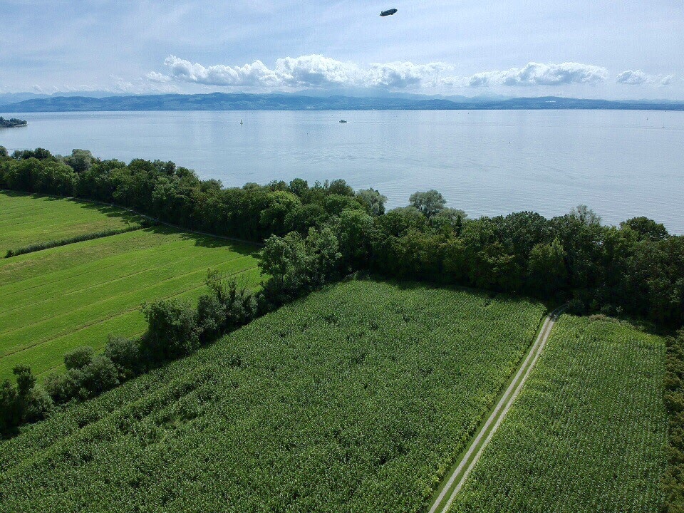 44be93335e98bbb8455580b976603443bfd54579dbae3ace47ea818854616610 Kopie.jpeg