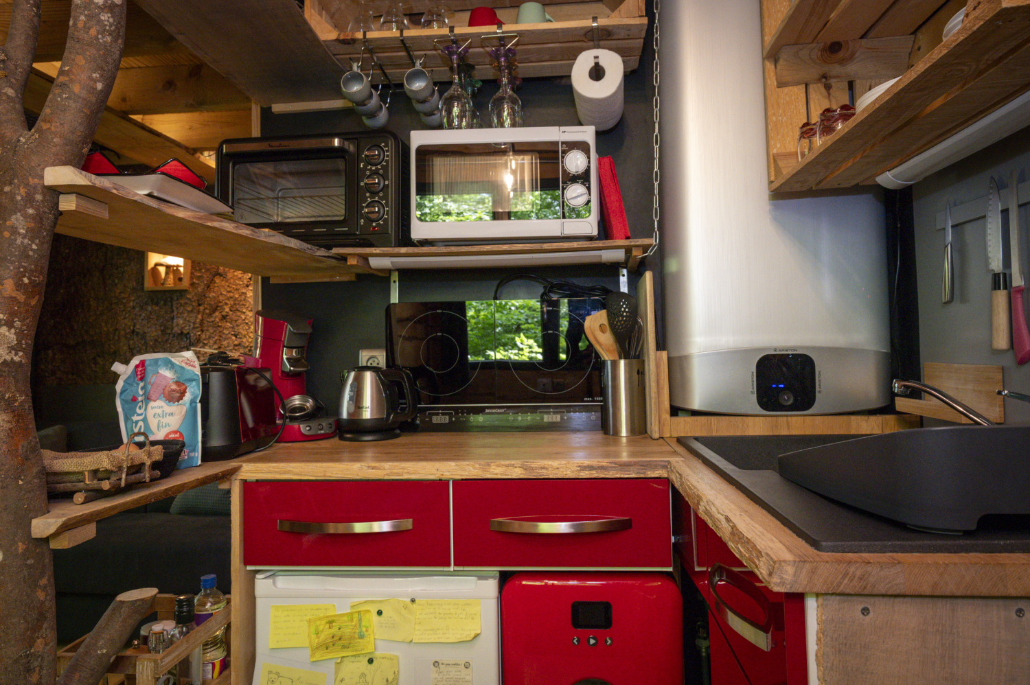 pat' de l'ours-54.JPG