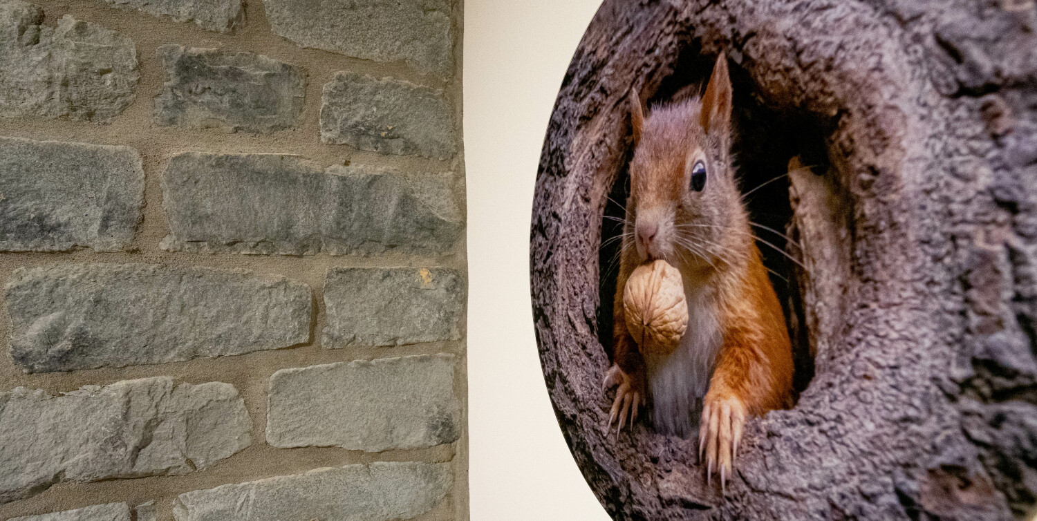 Bridge into the Nature Web-03031.jpg