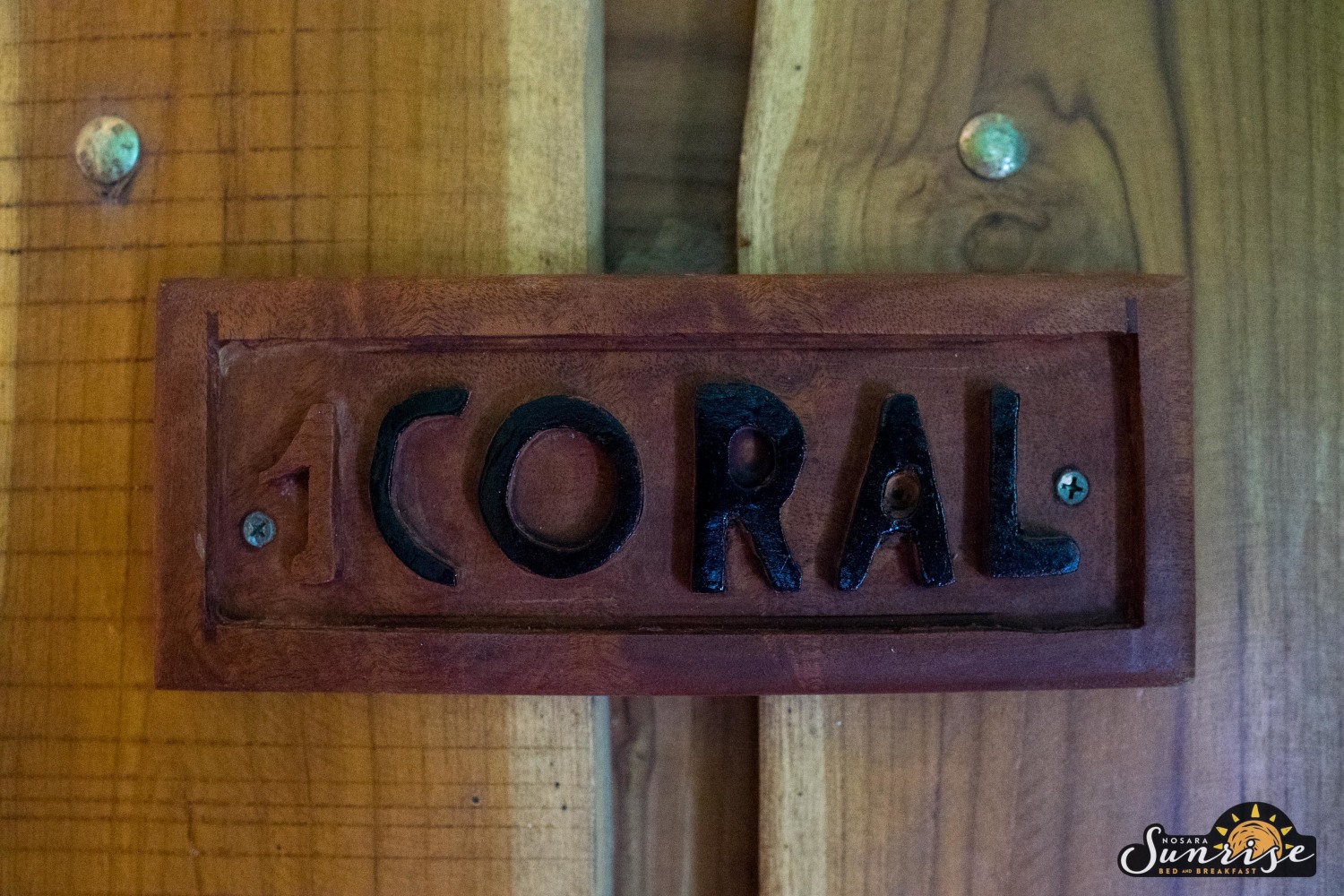 Nosara Sunrise (3 of 124).jpg