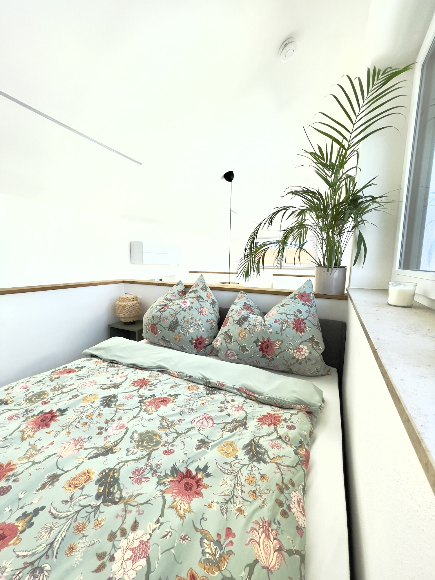 Foto 12.04.24, 16 07 06.jpg