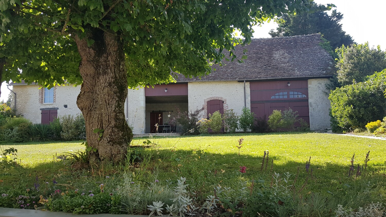 20220706_180137 (2).jpg