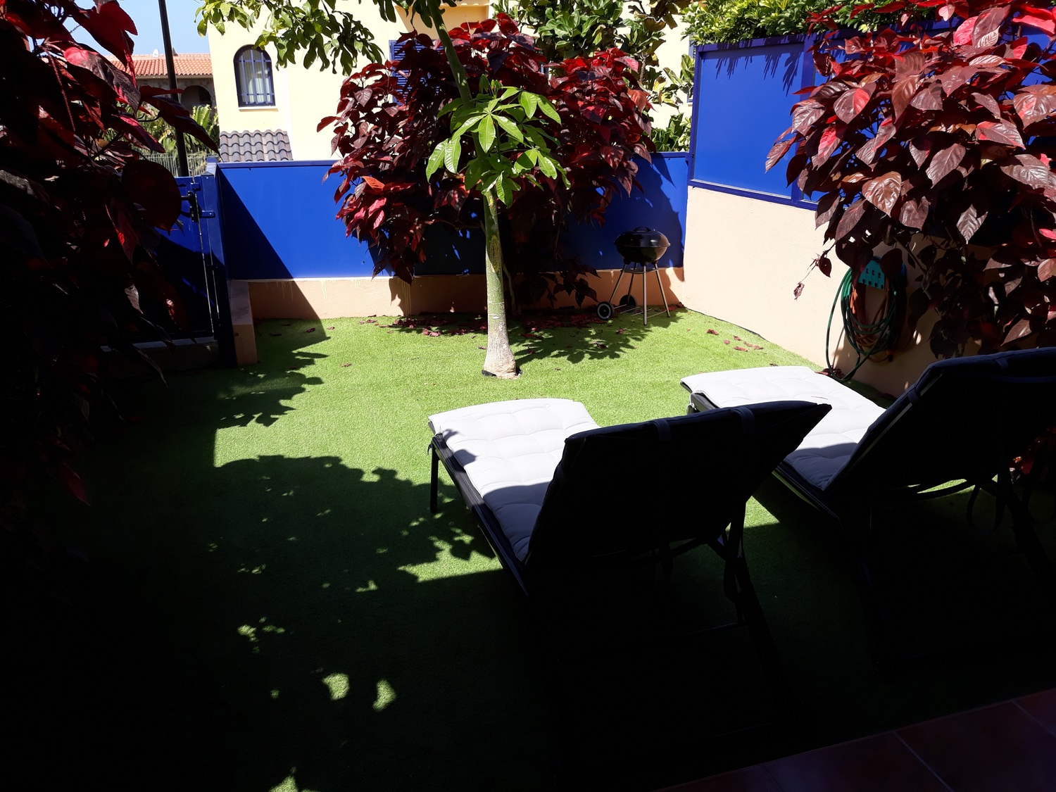 18-09-11 128 NEU_ Bewässerungsanlage sorgt für volle Blüte.jpg