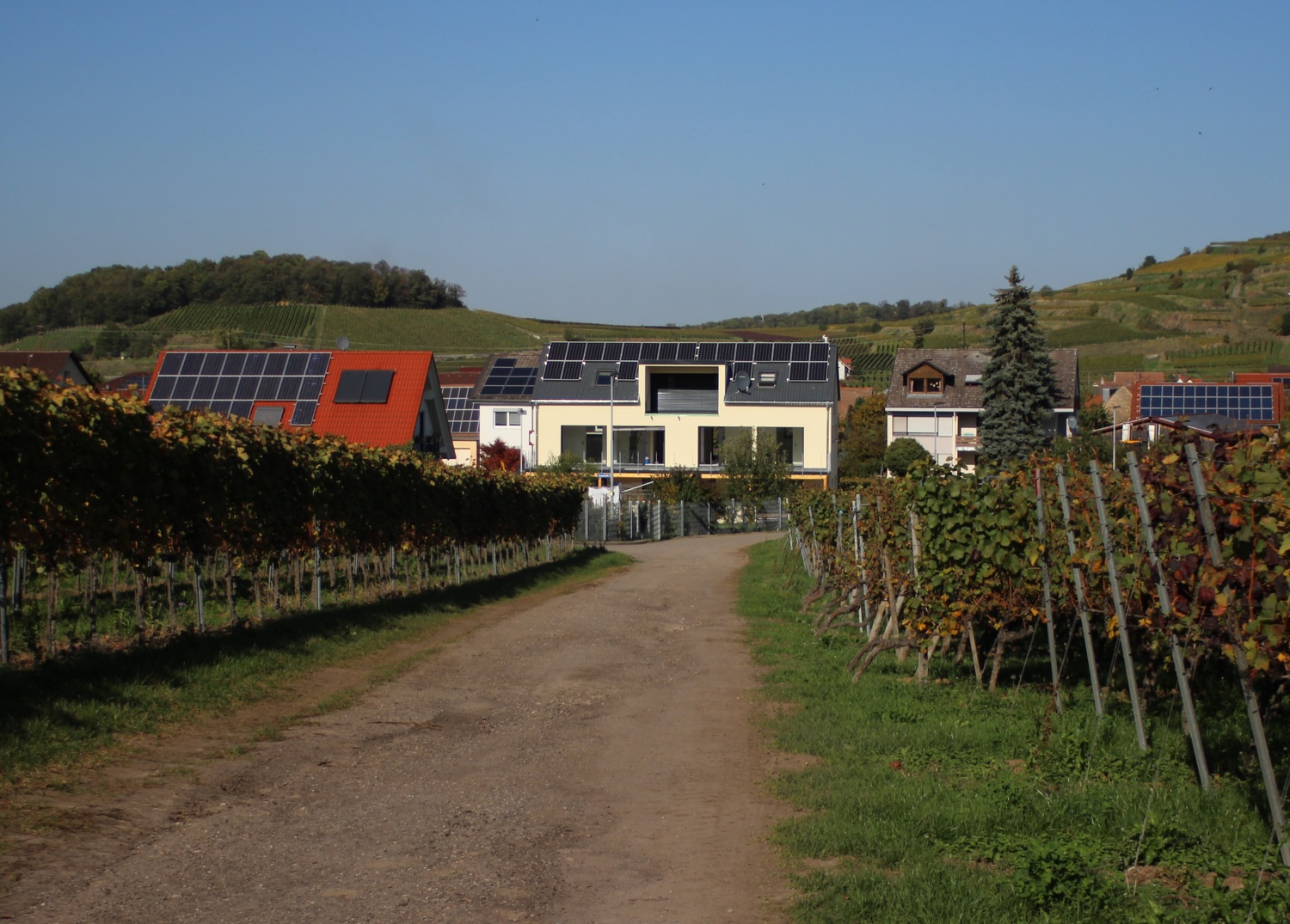 geschnitten Haus.jpg