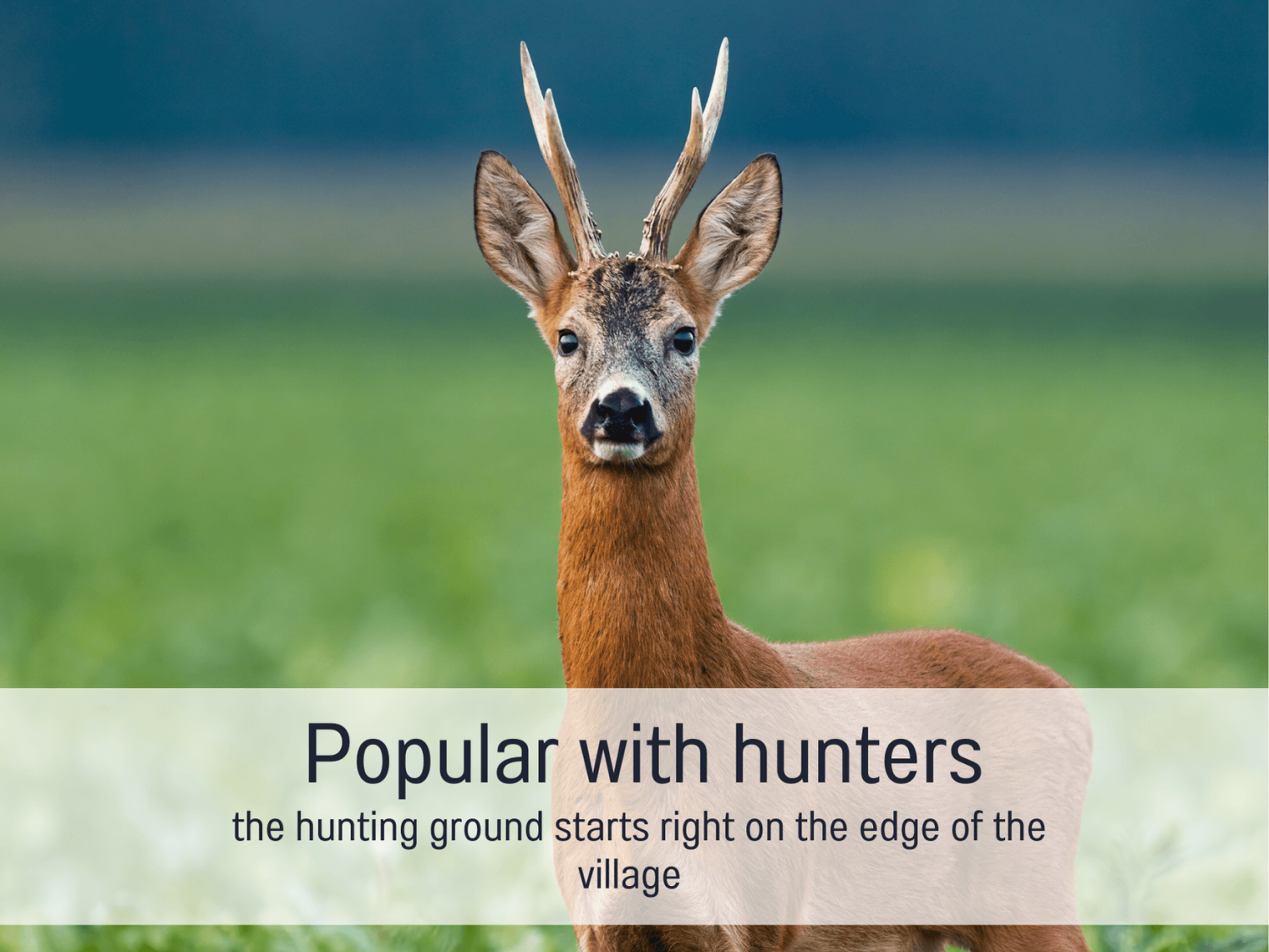 Blockhaus Malmkrog_Popular with hunters.png