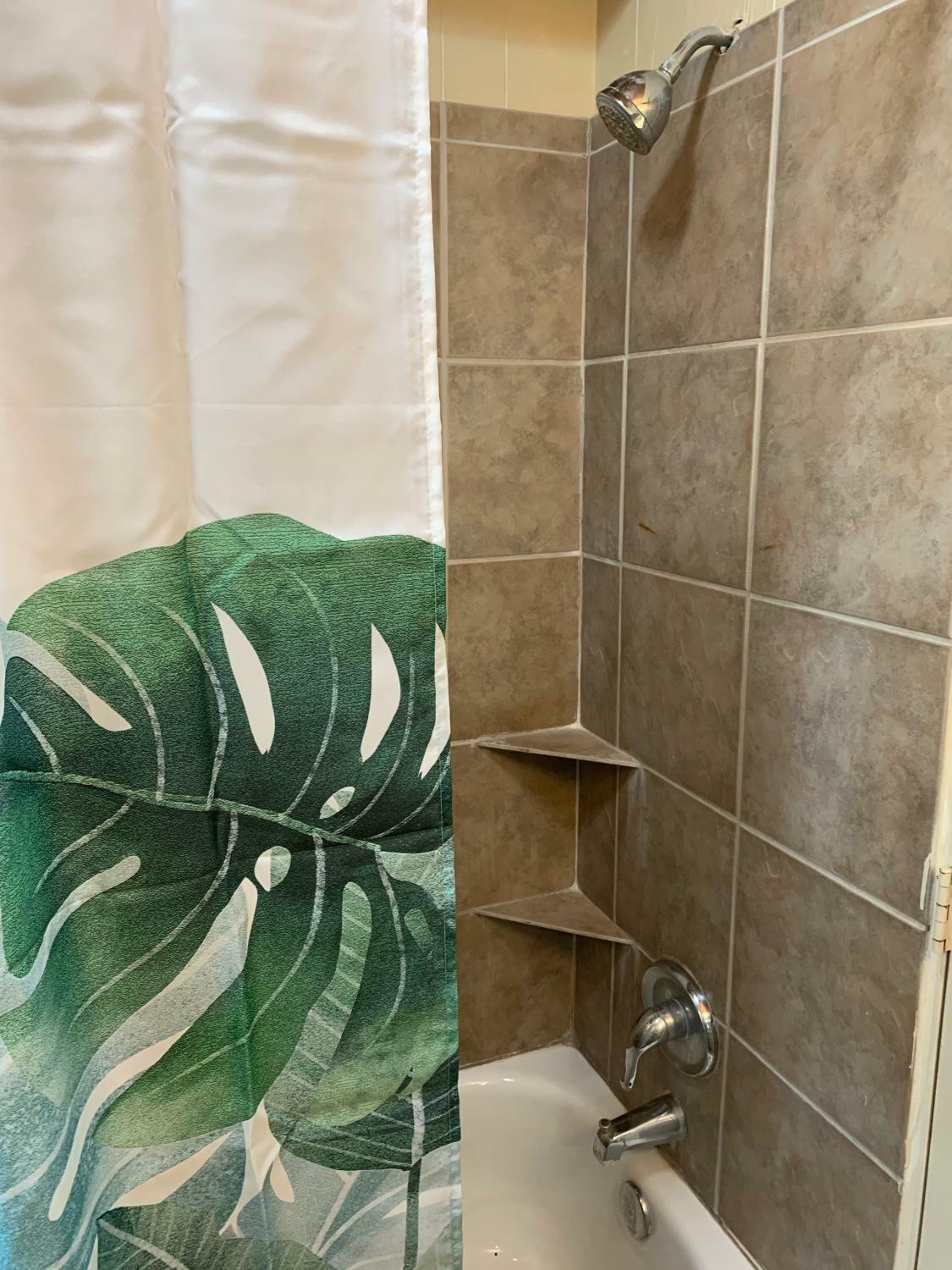 yellowstone river 8.jpeg