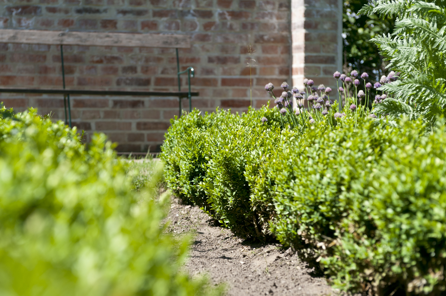 Ferienhaus Kastanie (13 von 49).jpg