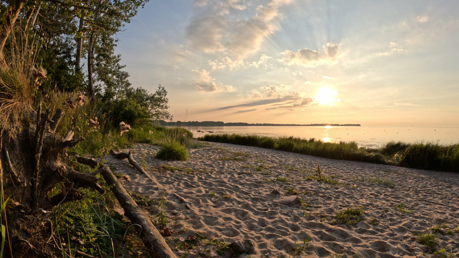 GX010036_1723144170197 (1).jpg