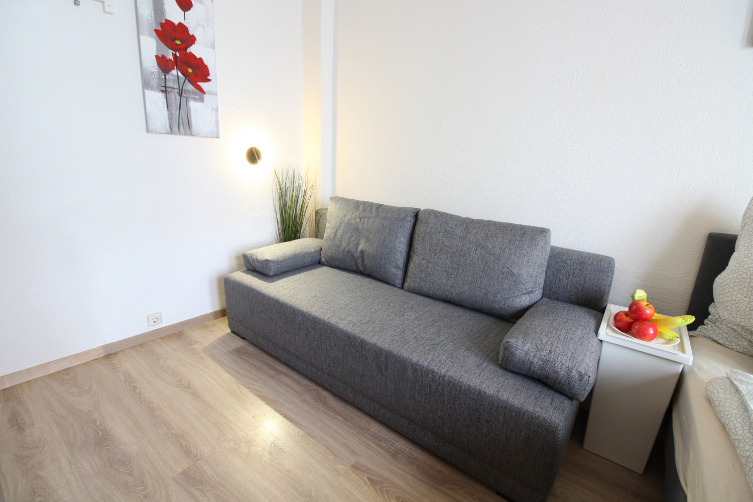 2022-12-09 - 301 - BR1 - sofabed as couch_b.jpg