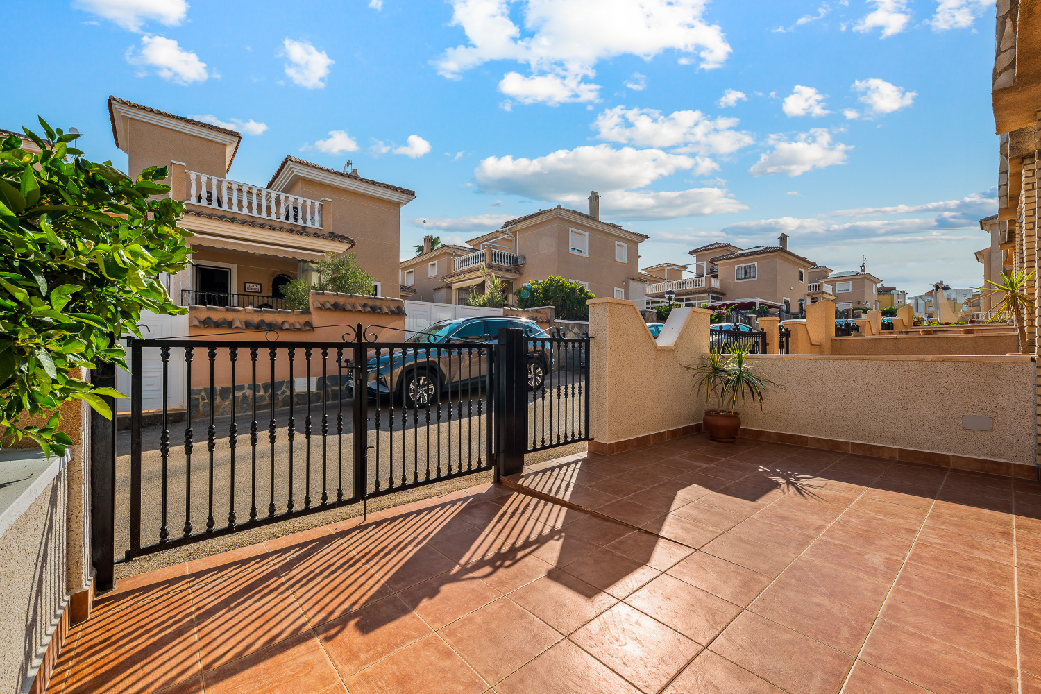 Royal Park Rose 89A (4).jpg