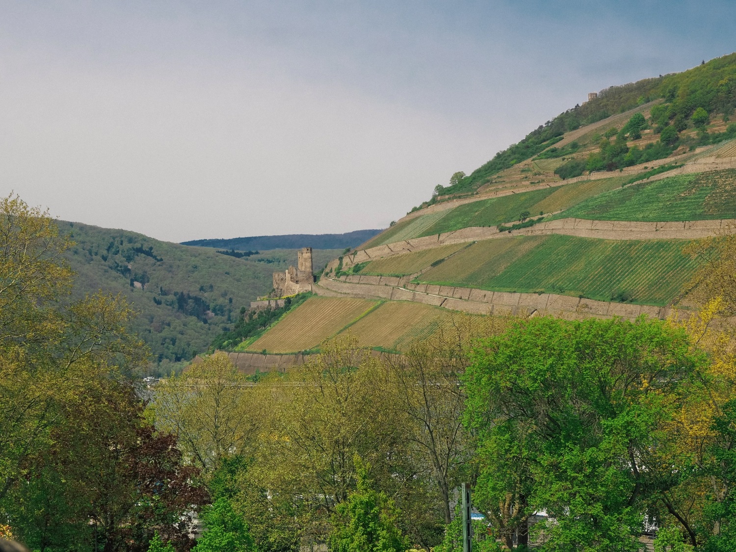 Aussicht Burg Ehrenfels weit 1.jpg