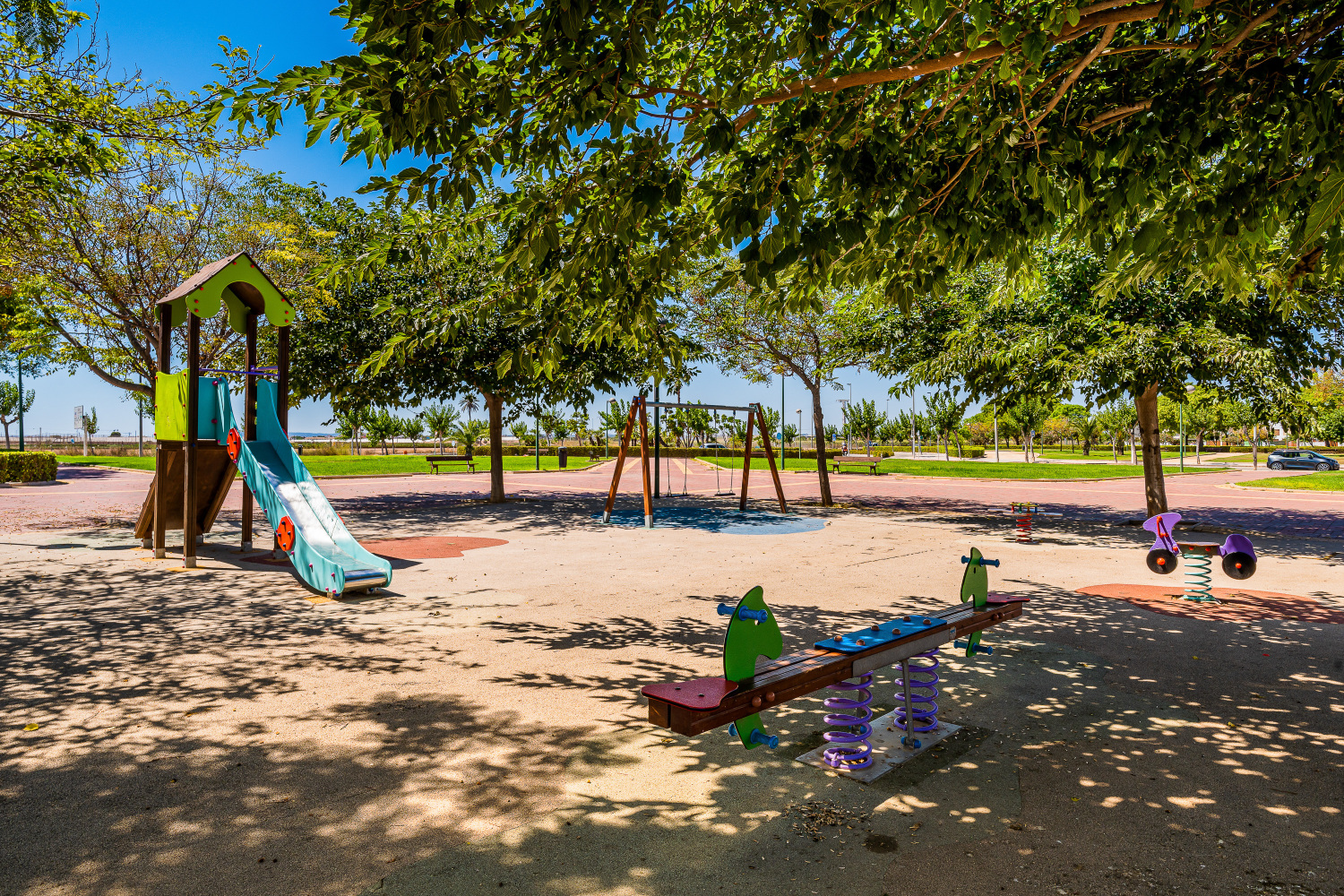 Gladiolo 52 - Pilar de Horadada (48).jpg