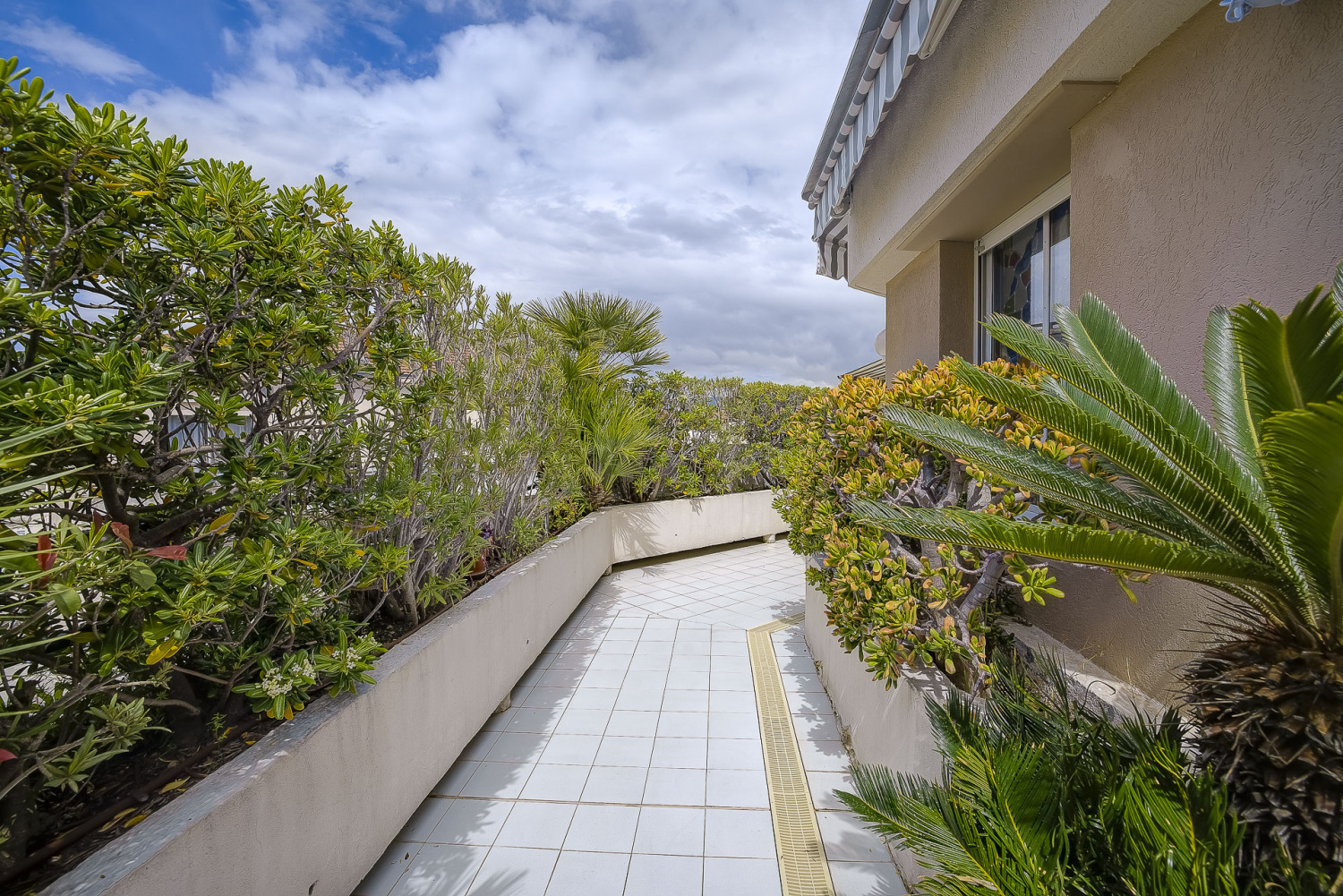 juan 2 - internet-27.jpg