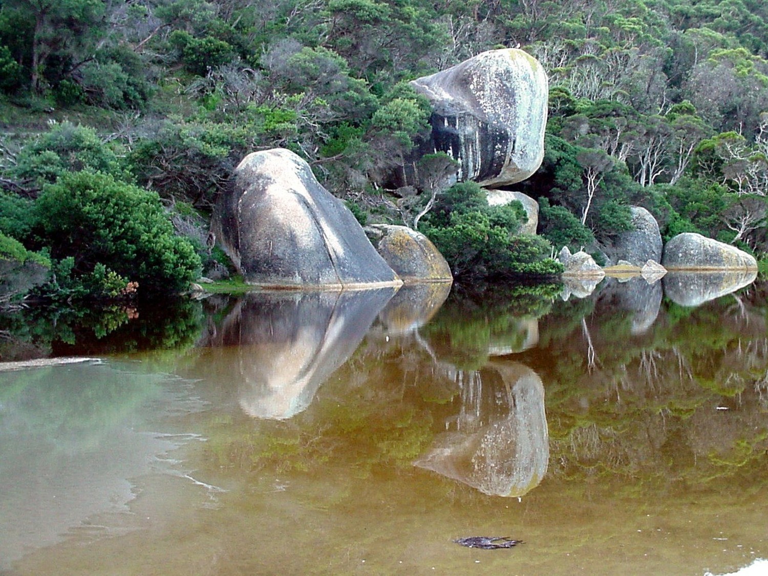 Whale Rock, Tidal River and Tidal Bore.JPG