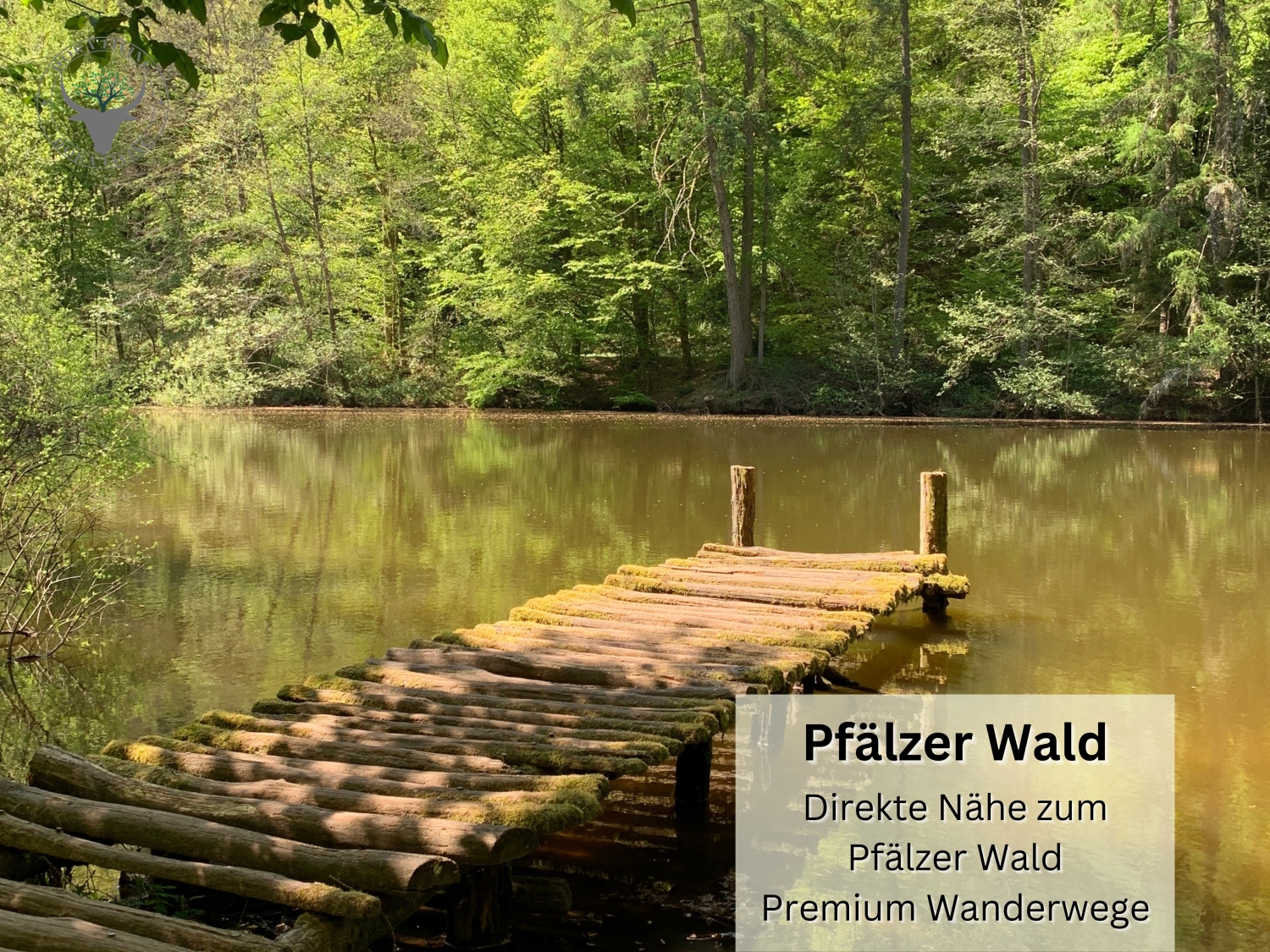 Online Stadt 12.jpeg