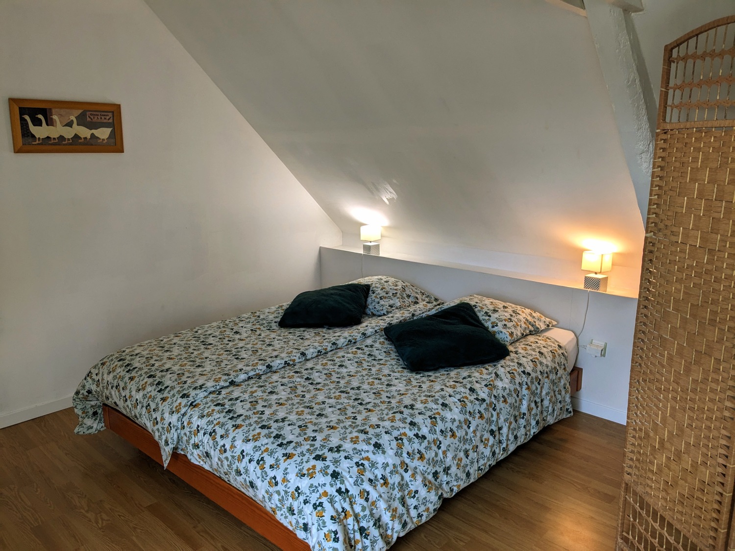 PXL_20240129_124559548 (1).jpg