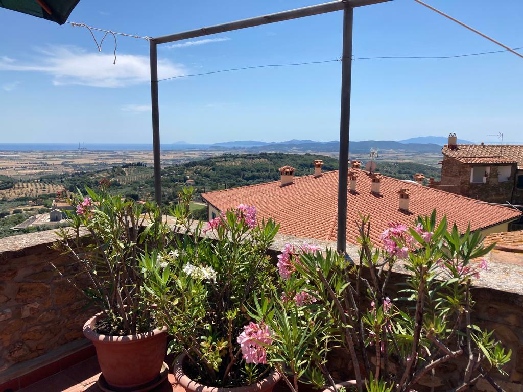 WhatsApp Bild 2023-08-07 um 10.53.02.jpg