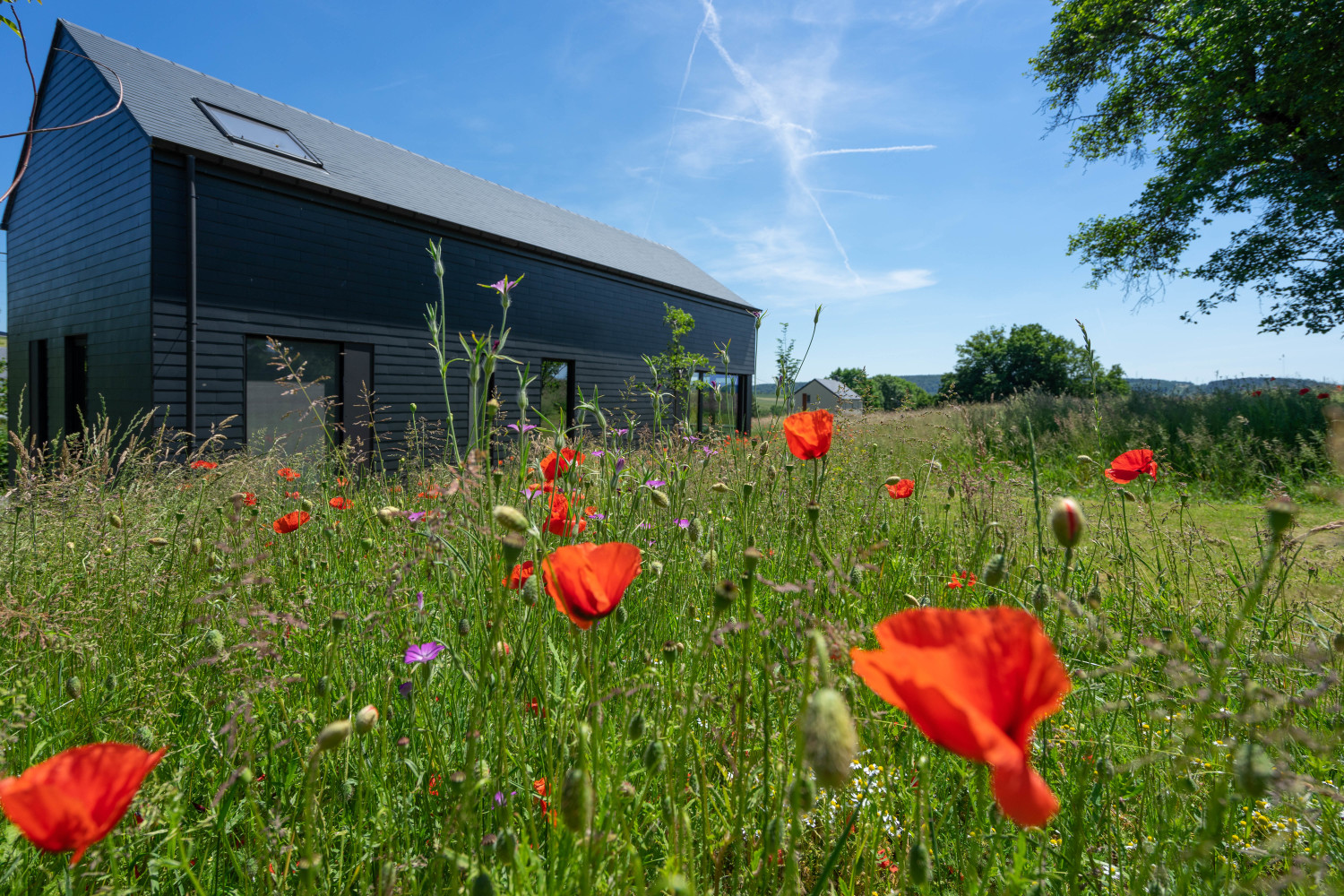 Arduenna Silva Web-08486.jpg