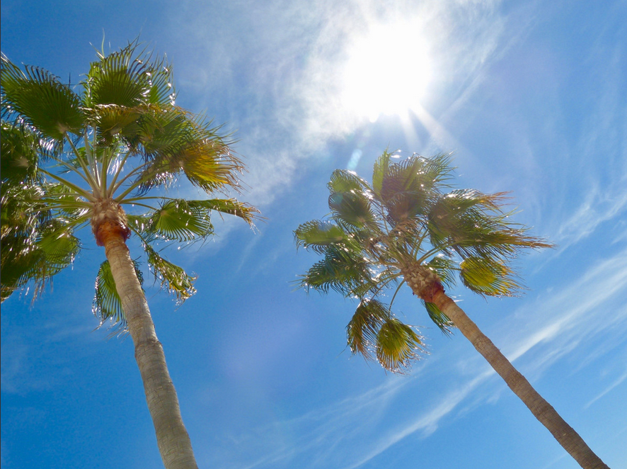 Capture d’écran 2022-11-17 092319.png