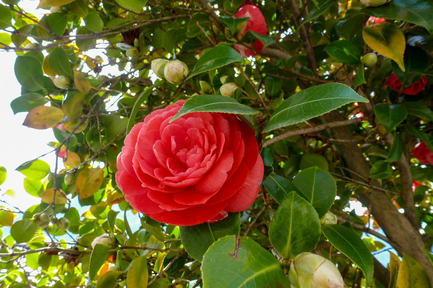 casa riale unten-02.jpg