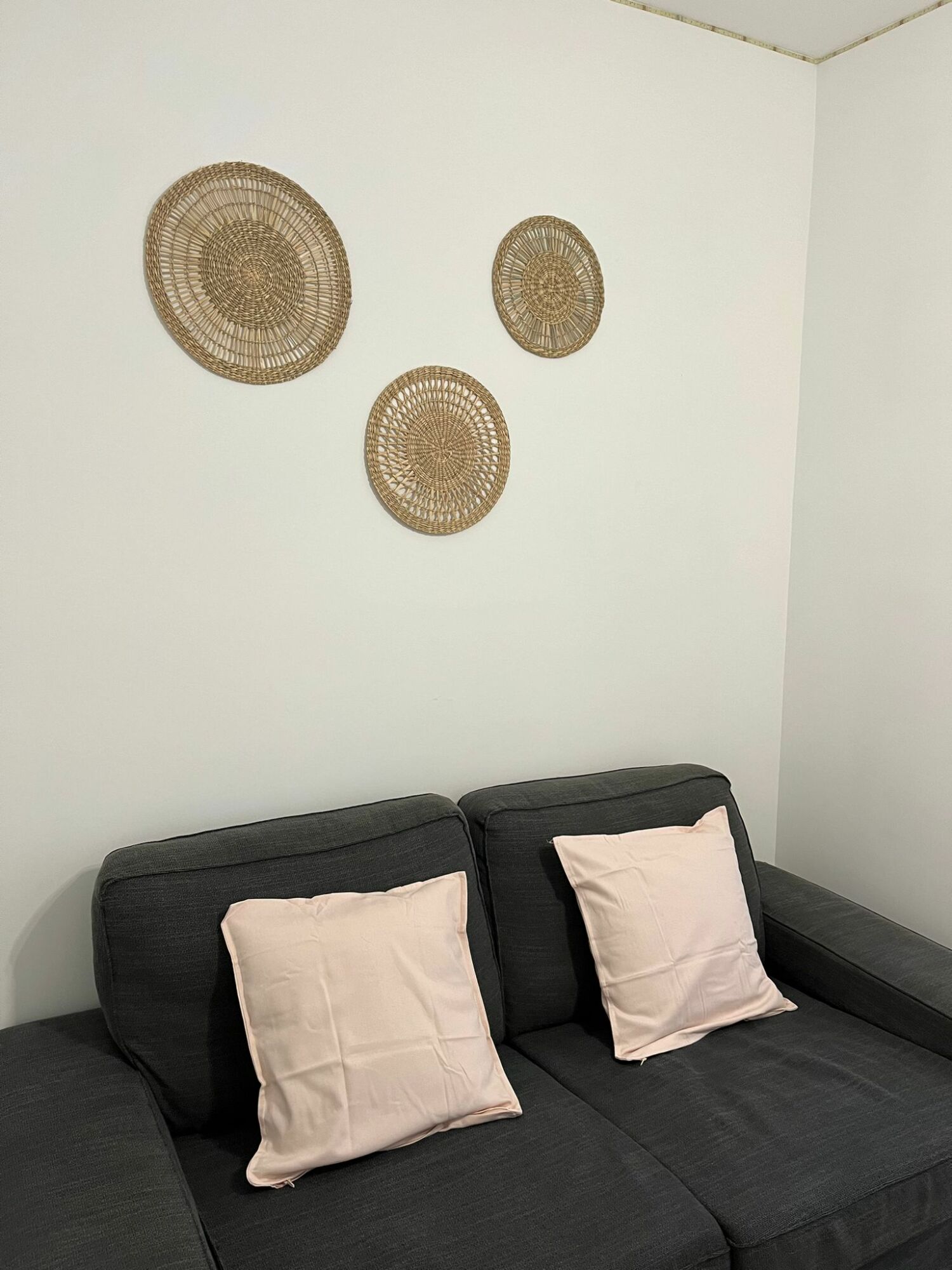 PHOTO-2024-02-14-22-04-14 2.jpg