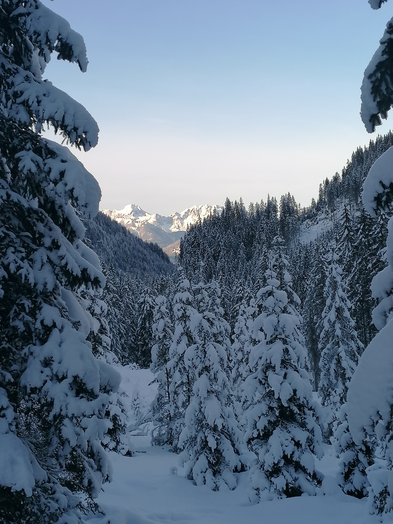 2020-12-27 14.38.11.jpg