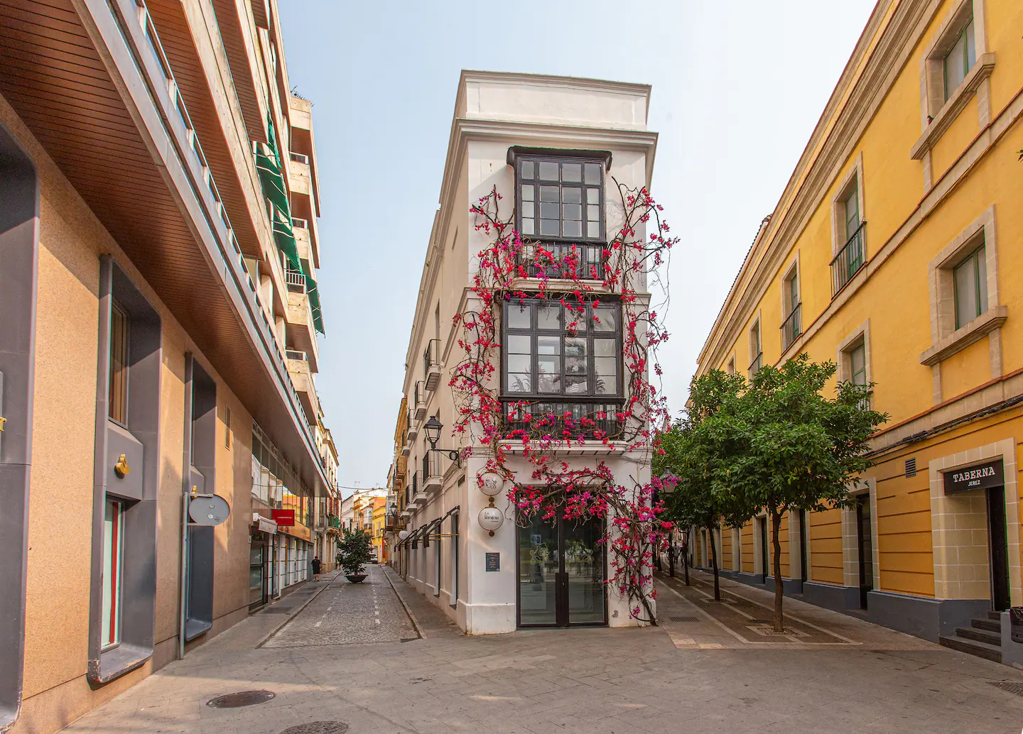 f72d1d88-92af-4067-b64e-65a90b14a65b - copia.jpg