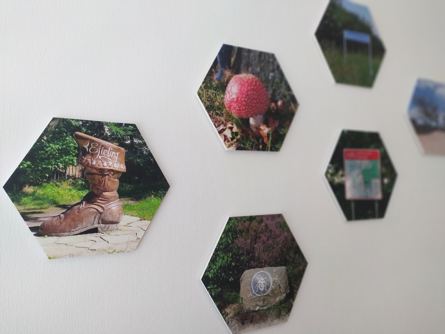 IMG_20211022_124718 AAA.jpg