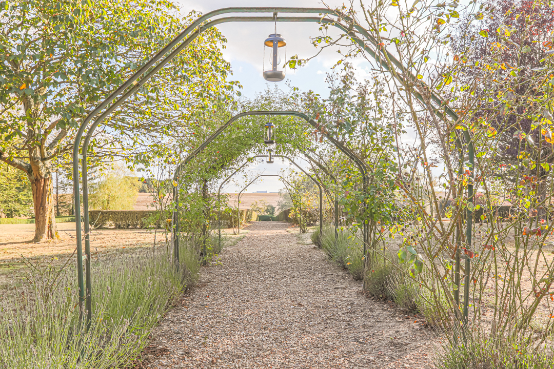 50 - La Kasa Des Bois x1080.jpg