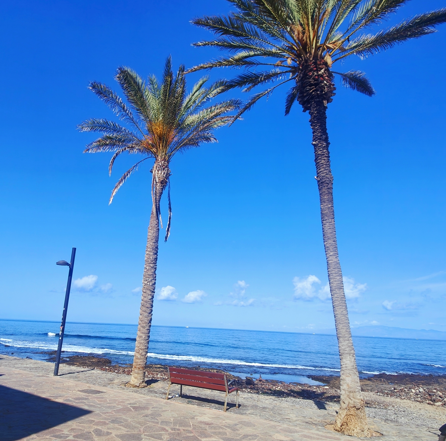 Copia de IMG_20230528_102239.jpg